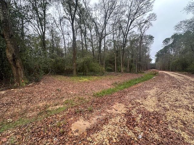 Lot A HUNTER OAKS Lane