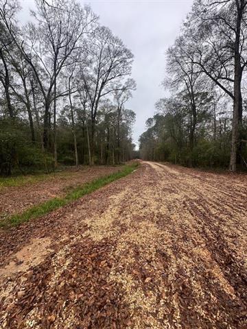 Lot A HUNTER OAKS Lane
