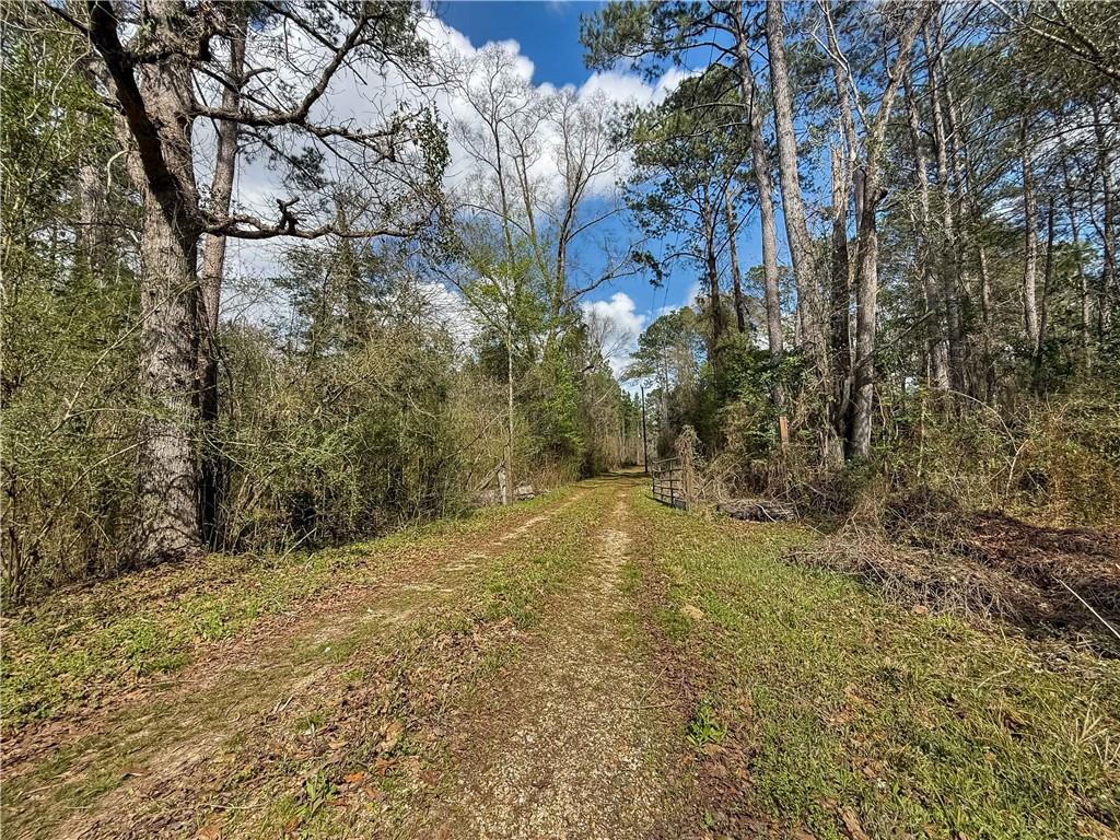 66350 HIGHWAY 1058