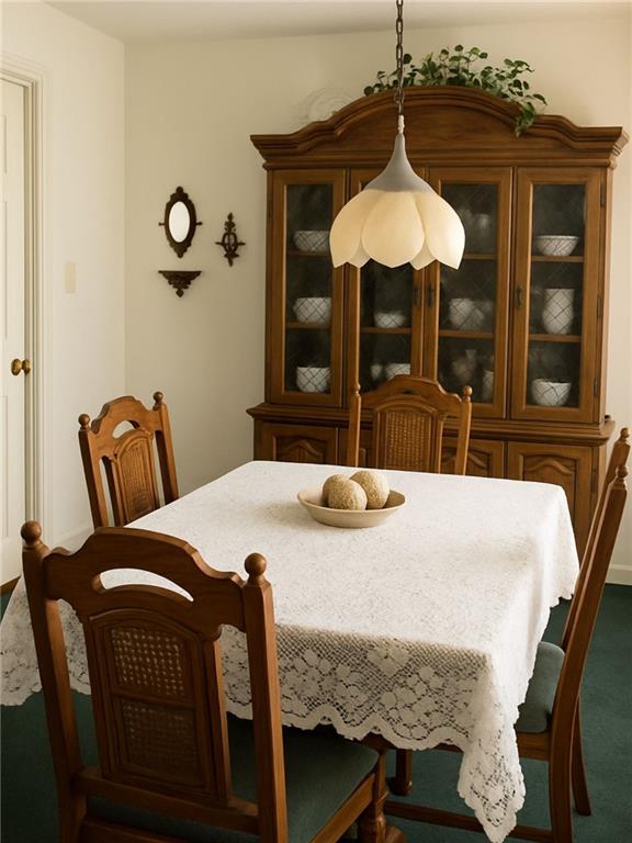 1221 LOCH LOMAND Drive