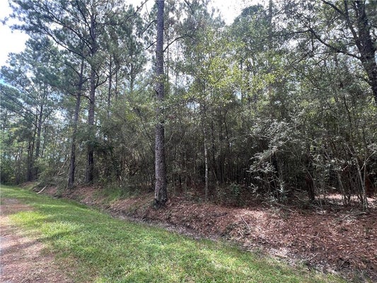 TAMPA DR N, PEARLINGTON, MS 39572 - Image 2fd2c6db4cb295ad73edbde502853ea1/3289035284