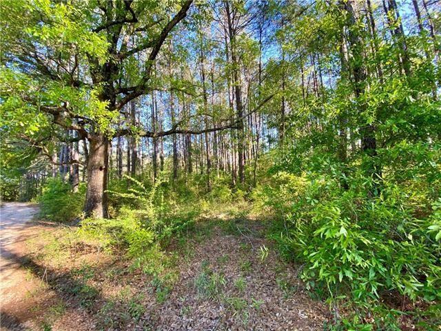 17197 &17203 SKEET STATHAM Road