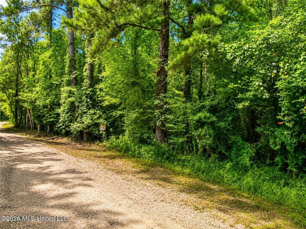 BELLE GARDNER Road