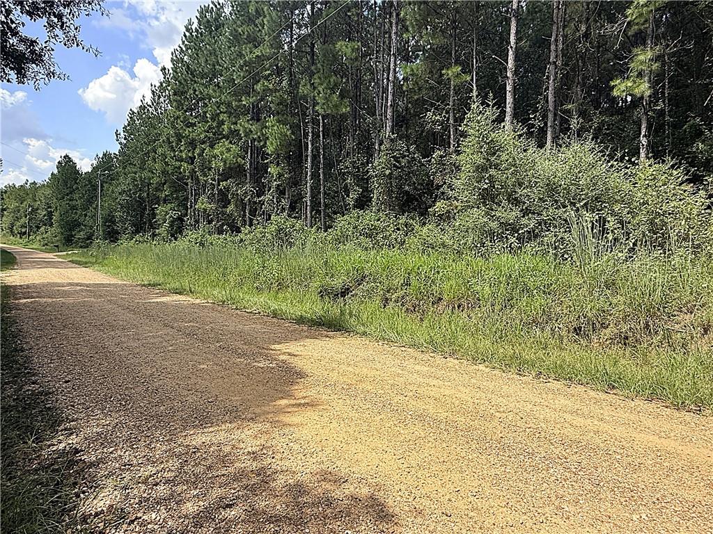Lot F OTIS JONES Road