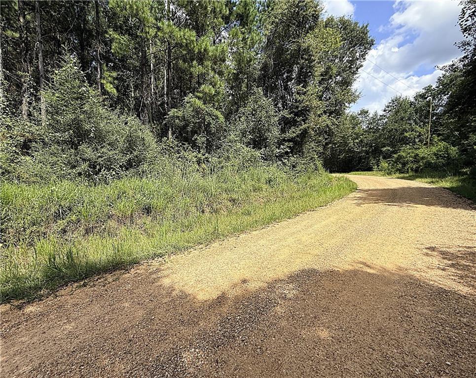 Lot F OTIS JONES Road