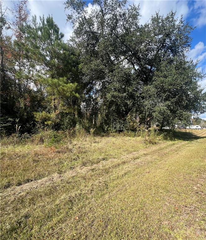 Lot 265 ARBOR Drive