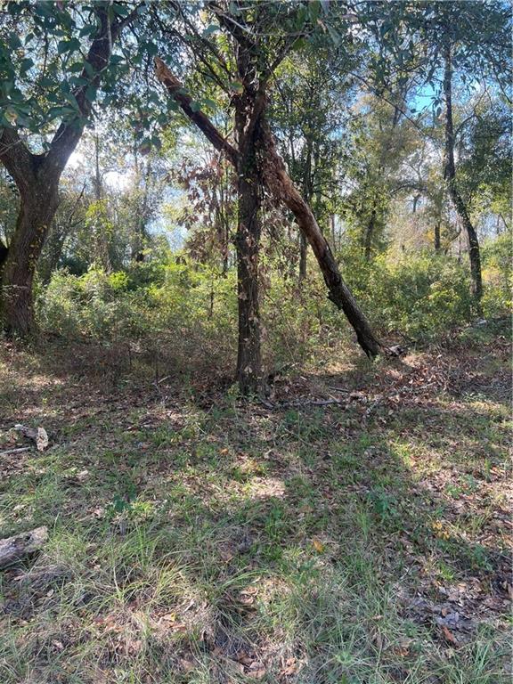 Lot 265 ARBOR Drive