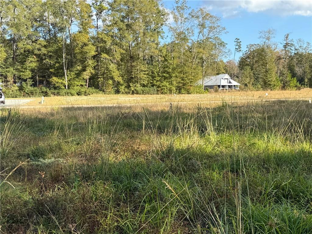 43439 SPRINGWOOD Way