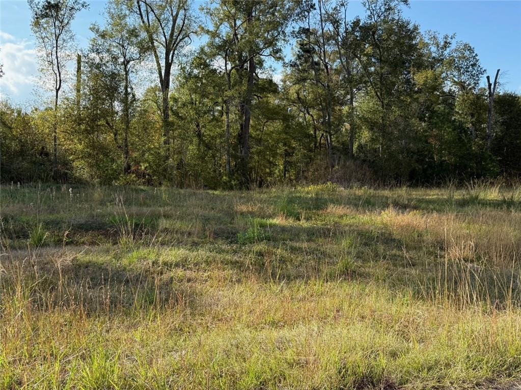 43439 SPRINGWOOD Way