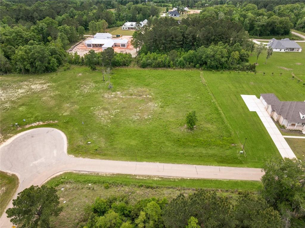 12568 GOLDENTOP Drive