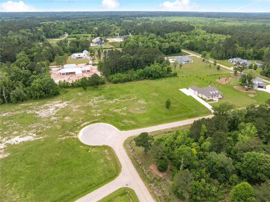 12568 GOLDENTOP Drive