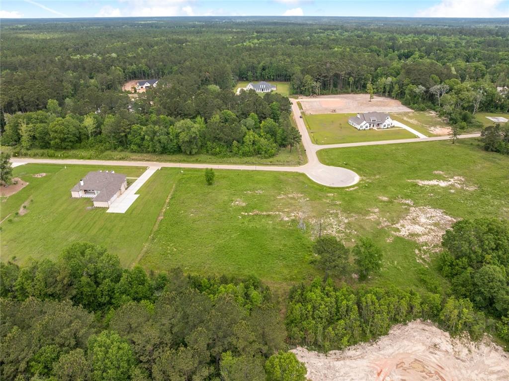 12568 GOLDENTOP Drive