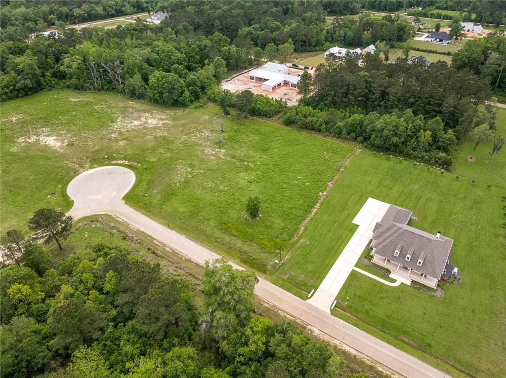 12568 GOLDENTOP Drive