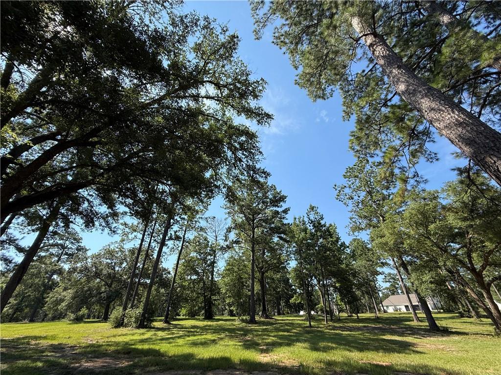 2720 SHADE TREE Court