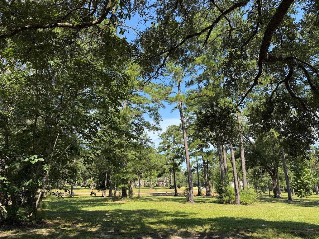 2720 SHADE TREE Court