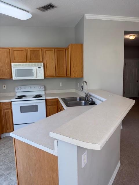 517 SPARTAN Drive 8203