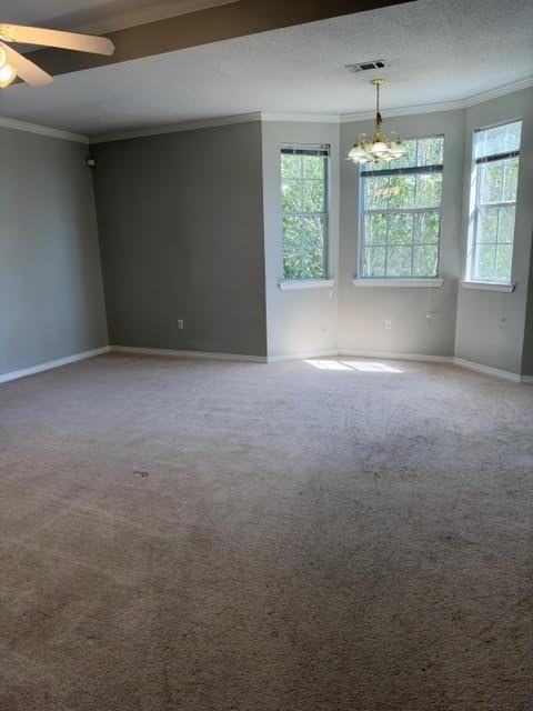 517 SPARTAN Drive 8203