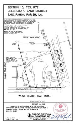 US-51, TICKFAW, LA 70466 - Image 39b00f4baaa2fbd35332a7a630b82a4e/1155059312