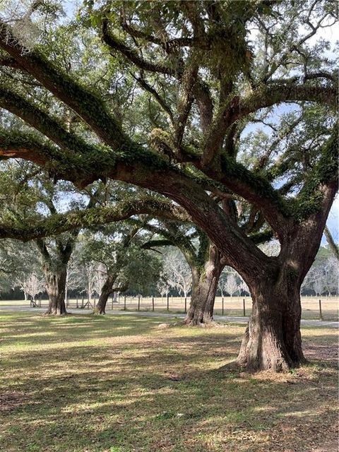 10 Acres AZALEA Lane Lacombe LA 70445