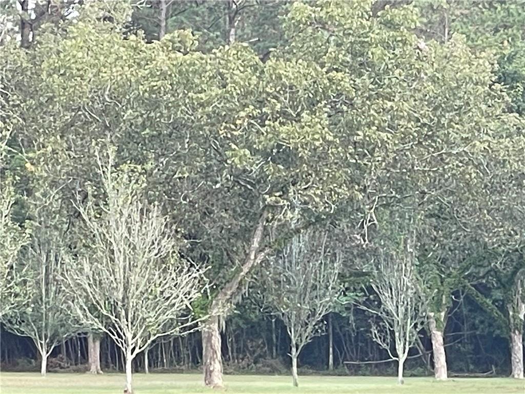 10 Acres AZALEA Lane