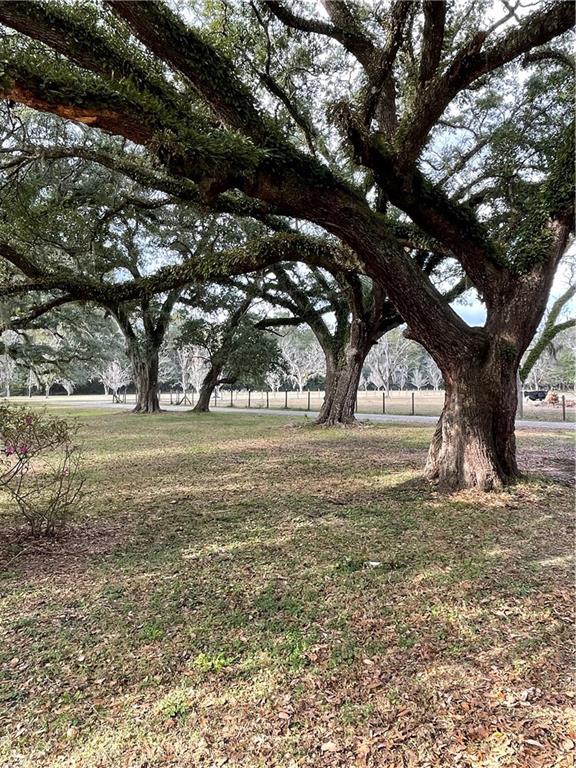 10 Acres AZALEA Lane