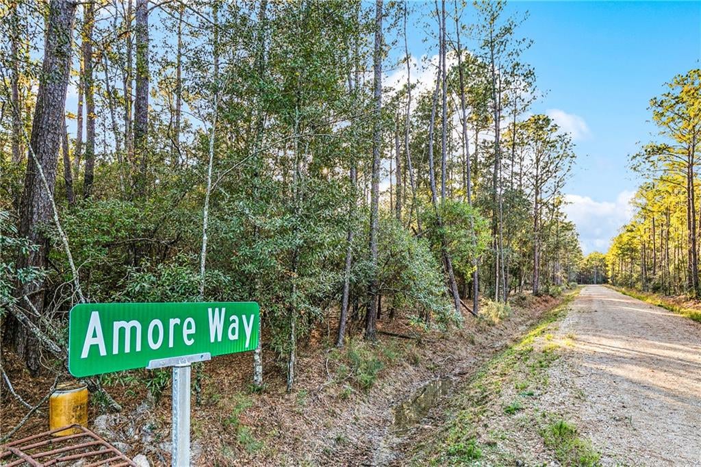 Tracts B-4,B-5 AMORE Way