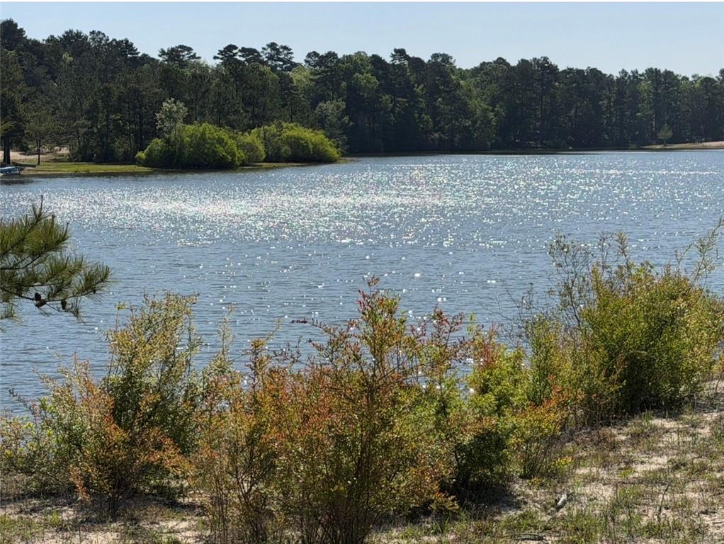 TBD-Lot 6 HIGHWAY 25 Drive