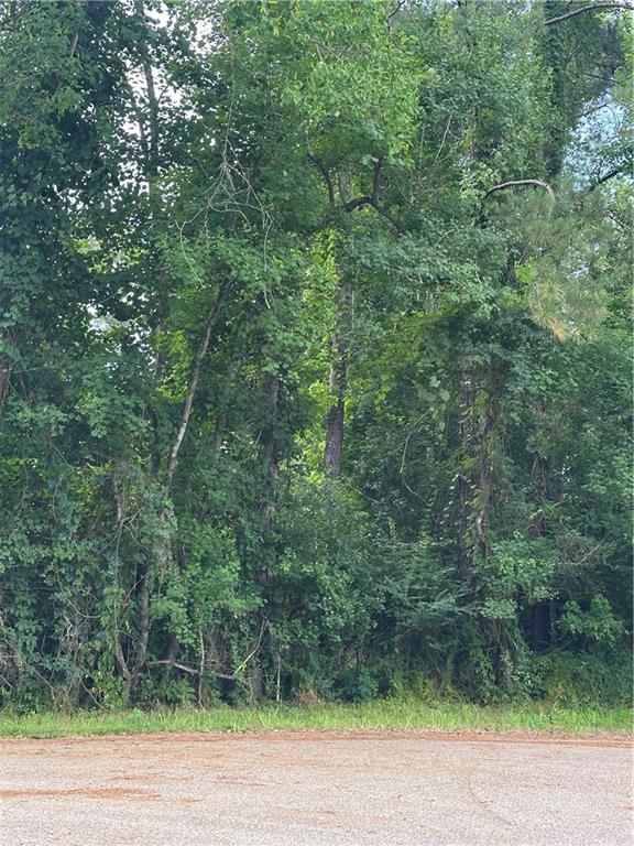 Tickfaw, Louisiana 70466, United States, ,Land,Active,151490