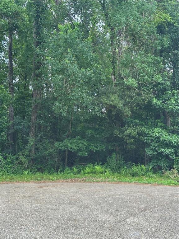 Tickfaw, Louisiana 70466, United States, ,Land,Active,151490