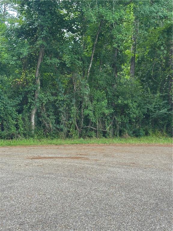 Tickfaw, Louisiana 70466, United States, ,Land,Active,151490 Tickfaw, Louisiana 70466, United States, ,Land,Active,151490