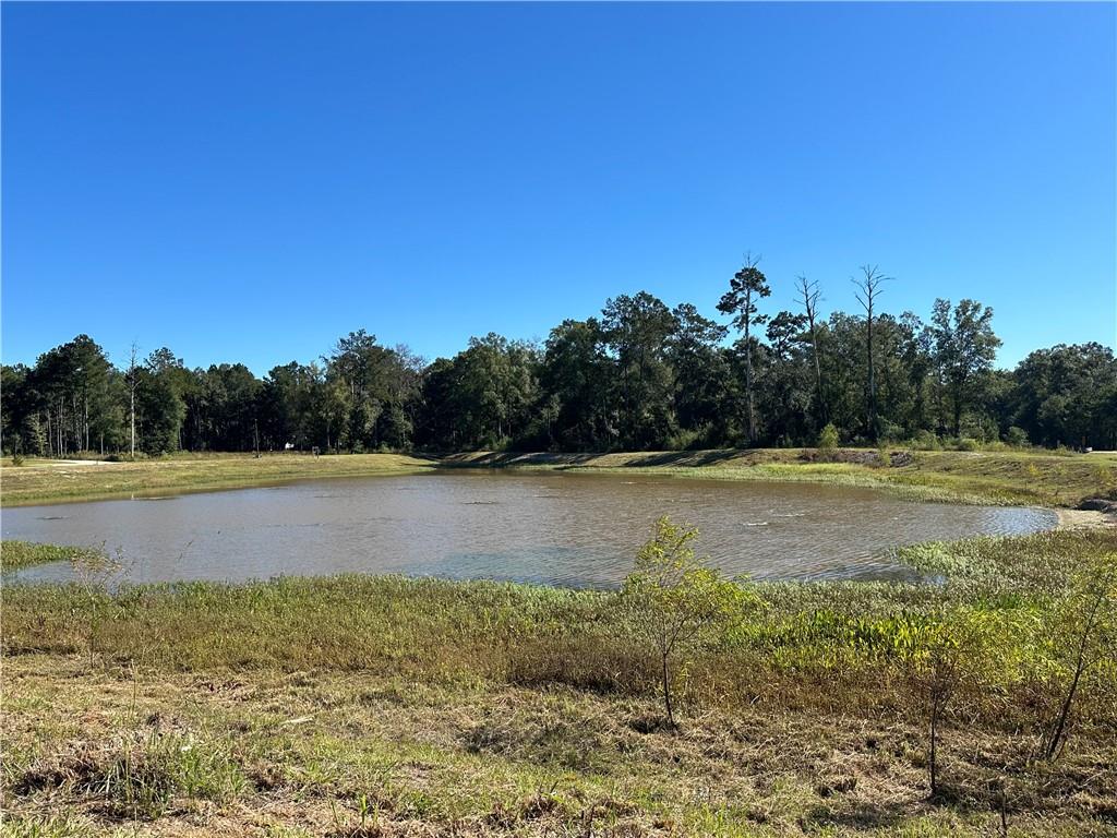 Covington, Louisiana 70435, United States, 4 Bedrooms Bedrooms, ,4 BathroomsBathrooms,Residential,Pending,38104