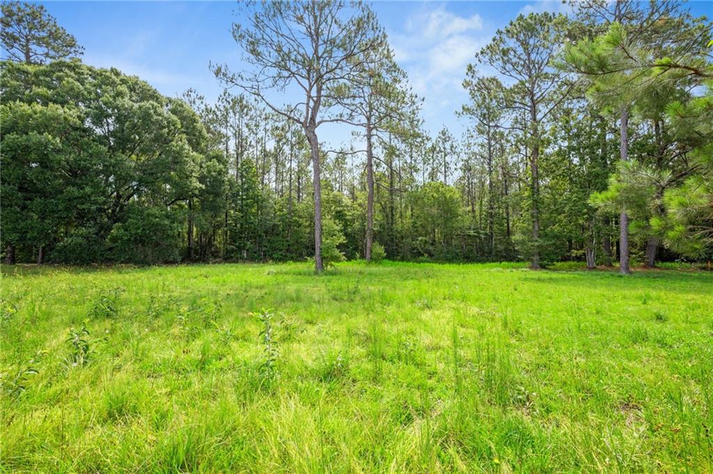 31818 PUTT MORAN Loop