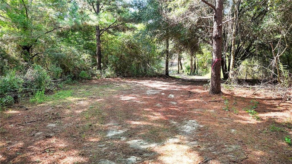 50.36 acres E HWY 16 Road