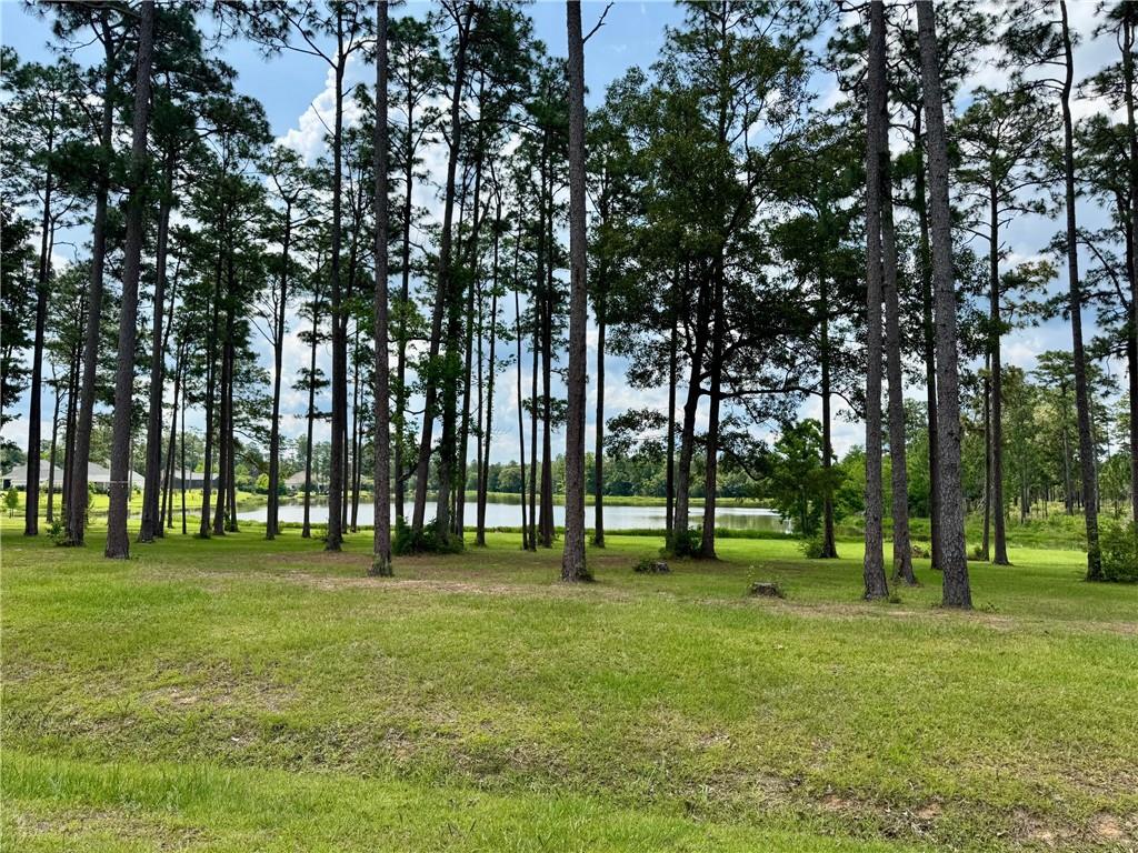 Lot 410 HIDDEN LAKE Loop