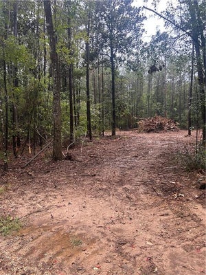 BENNETT RD, INDEPENDENCE, LA 70443 - Image 4daca4302f86b145beeaa00ba2db5e8c/1345121434