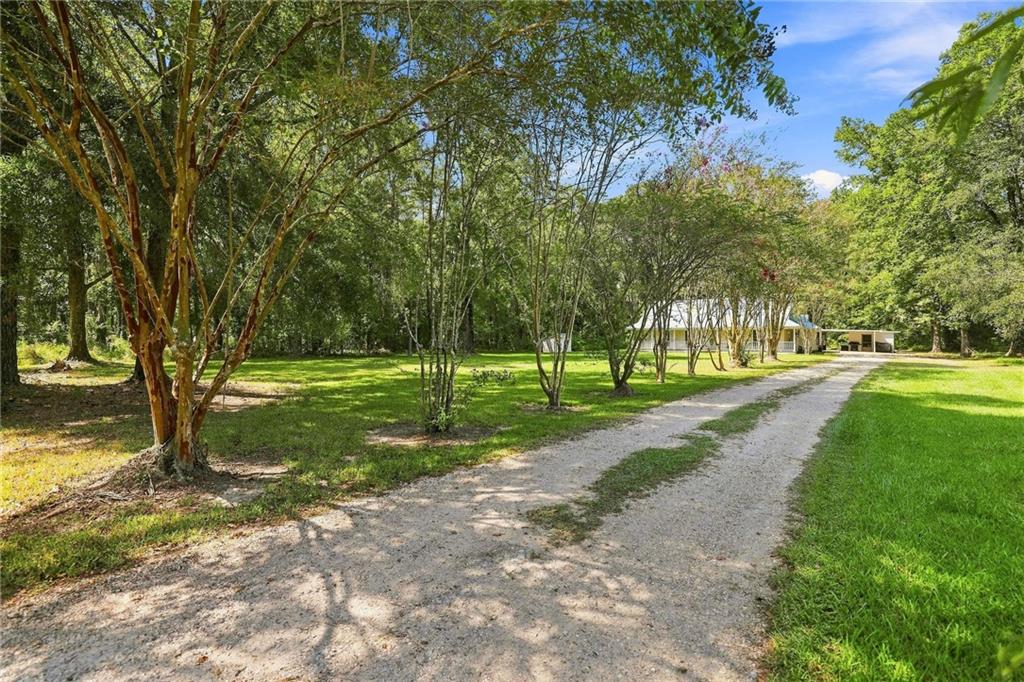 16267 BLACK MUD Road