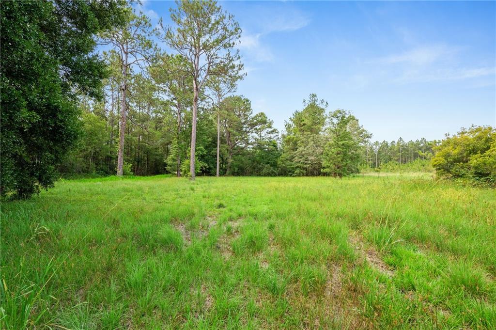 31818 PUTT MORAN Loop