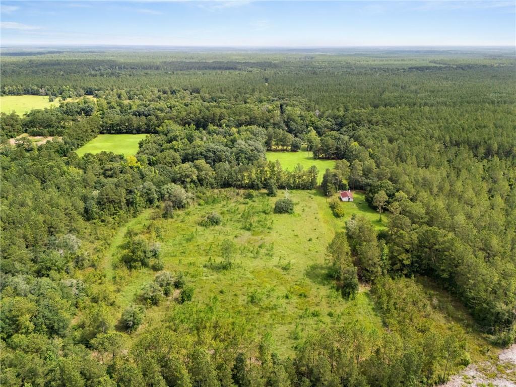 31818 PUTT MORAN Loop
