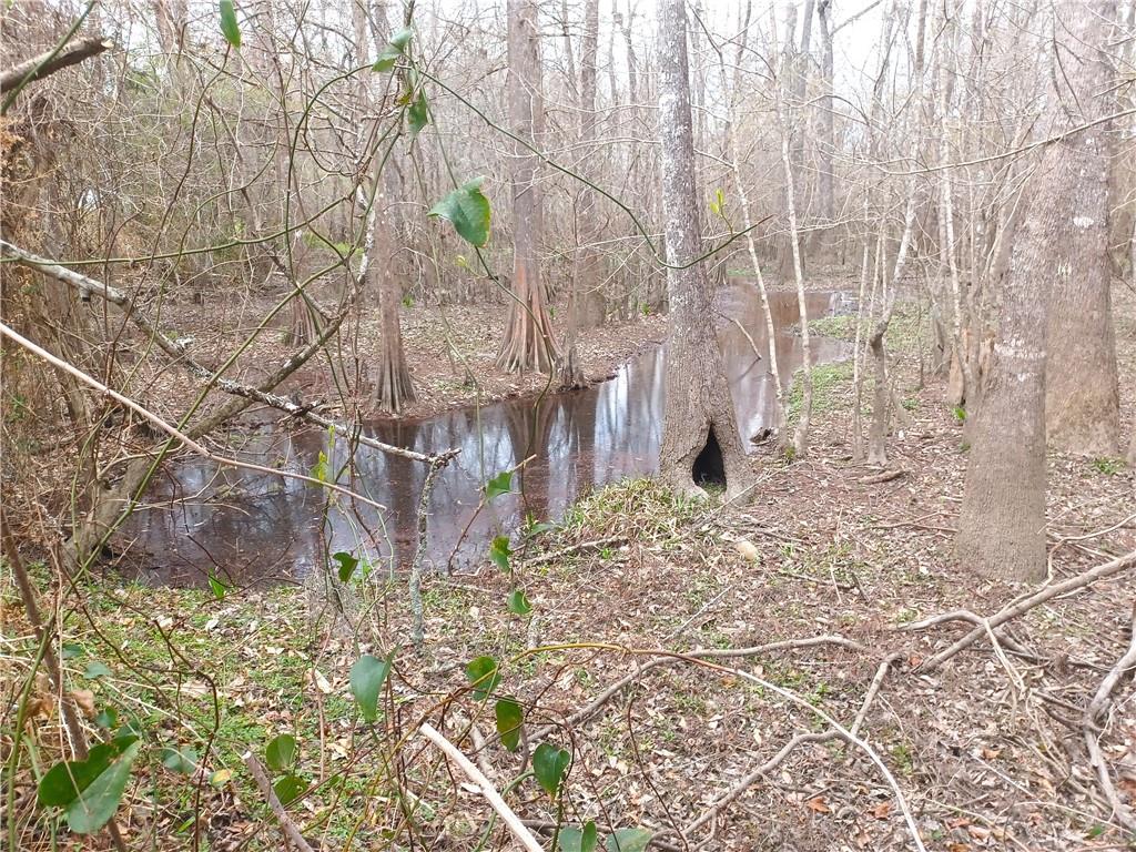 14071 CYPRESS CREST Lane