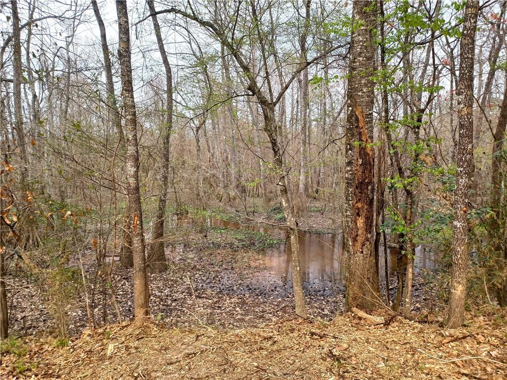 14071 CYPRESS CREST Lane