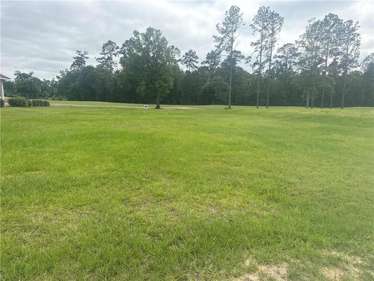 30684 BLUE WING CRES, SPRINGFIELD, LA 70462 - Image 52a25cc32fc3fe4e2c34067f4fbc277b/223820114
