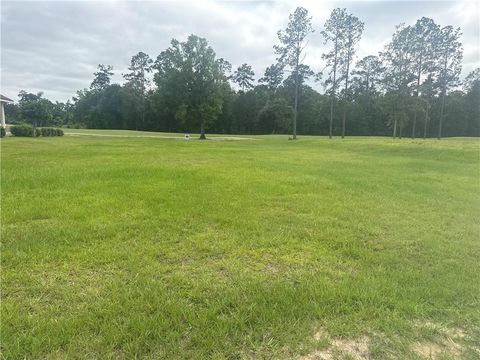 30684 BLUE WING CRESENT Springfield LA 70462