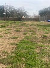 1318901 GEN COLLINS Avenue