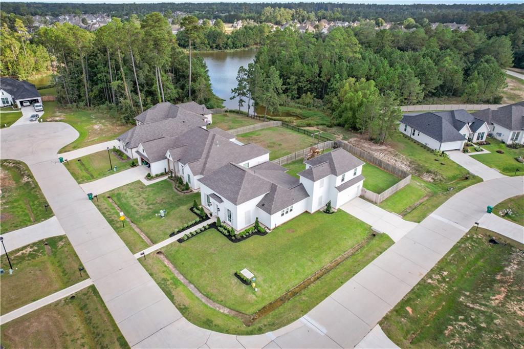 1505 BLACK PINE Court