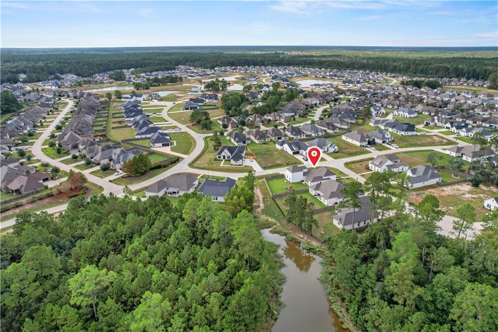 1505 BLACK PINE Court