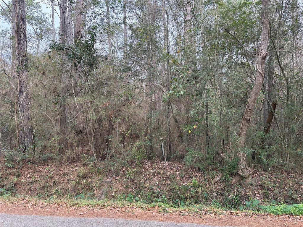 Photo 1 of 8 — HUEY Street, Lacombe, LA 70445