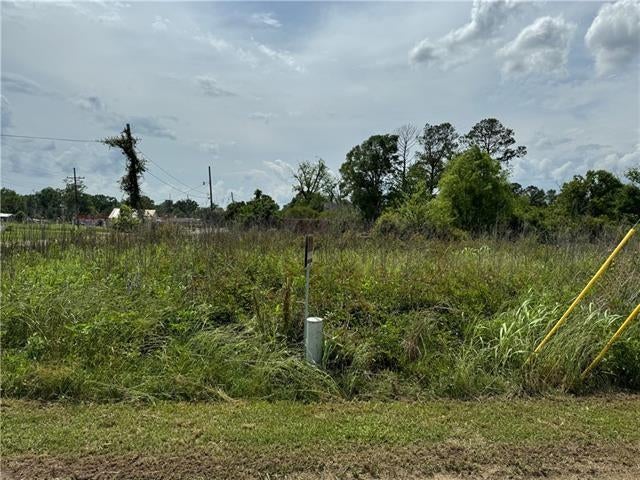 TANGIPAHOA Avenue