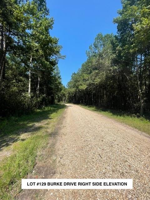 Lot #129 BURKE Drive