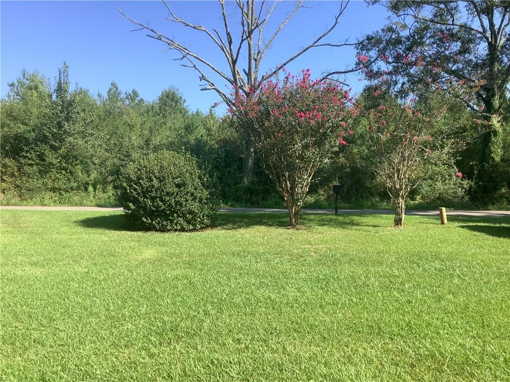 43314 WILLIE YOUNGBLOOD Road