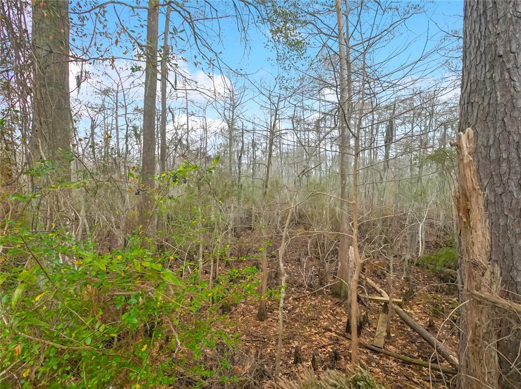 Mandeville, Louisiana 70471, United States, ,Land,Active,92223